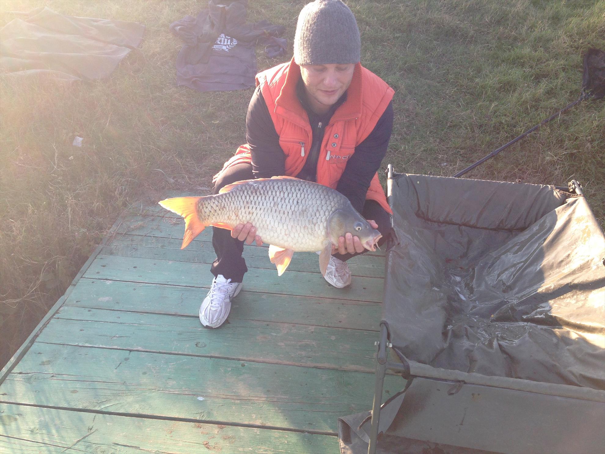 De pe balta adunate - image11111111111111111111111.jpg